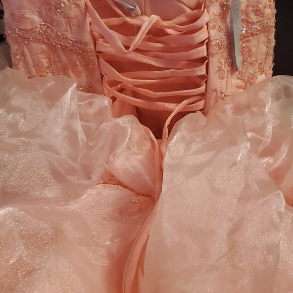 PC Mary's Prom Dress - Picture 4 of 5